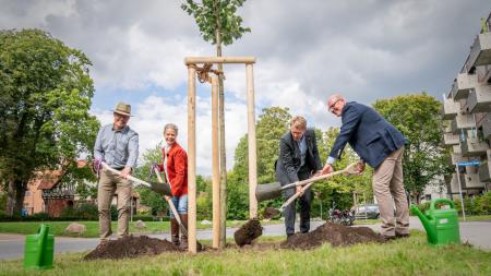 Ministerpräsident Daniel Günther und drei Vertreter:innen der Grünen Verbände pflanzen eine Linde.